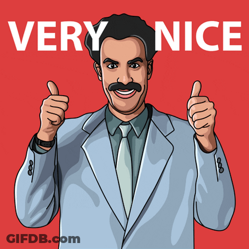 Nice Meme Borat Cultural Learnings GIF