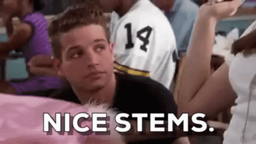 Nice Stems Justin Walker Clueless GIF