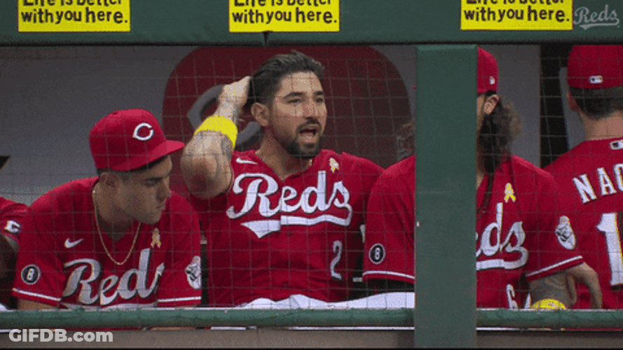 Nick Castellanos Talking Happily With His Teammate GIF
