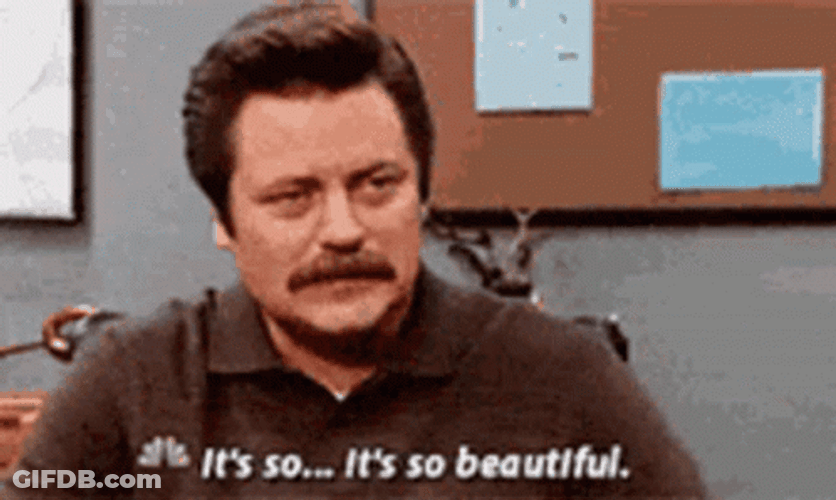Nick Offerman As Ron Swanson It's Beautiful GIF