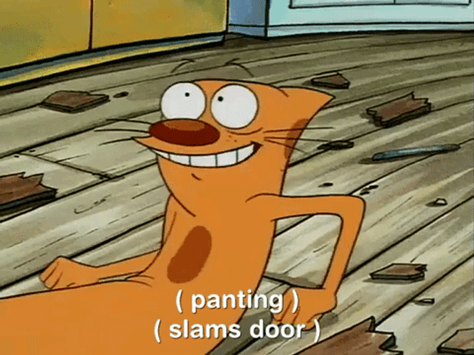 Nickelodeon Cat Dog Slamming Door GIF