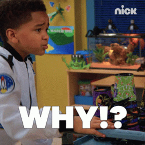 Nickelodeon Young Dylan Charlie Wilson But Why GIF