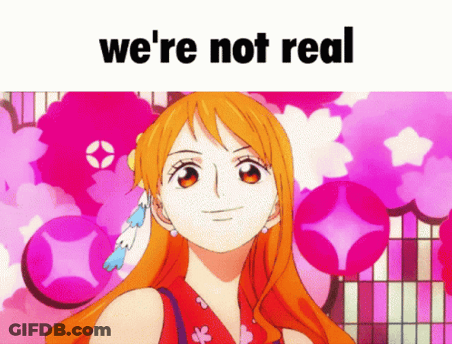 Nico Robin Were Not Real GIF