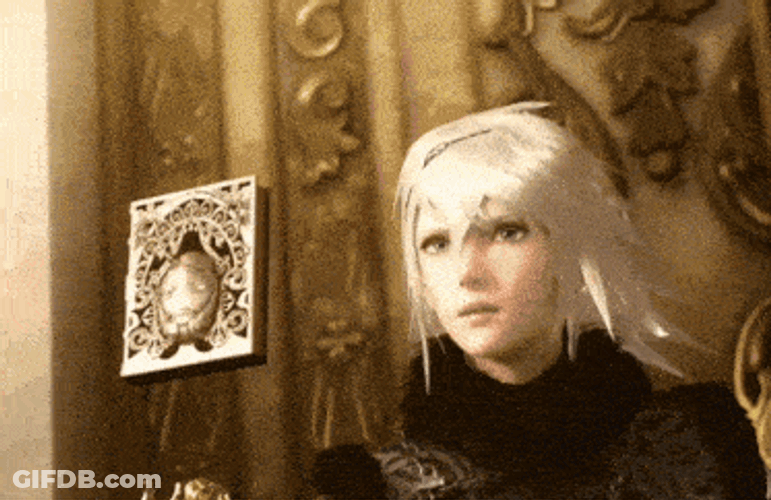 Nier Brother Nier GIF