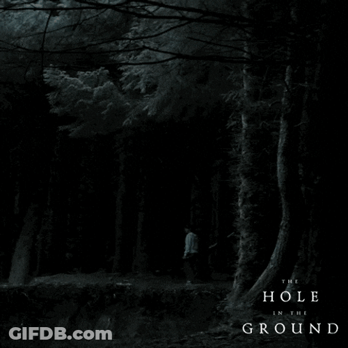 Night At The Forest Holes Movie GIF