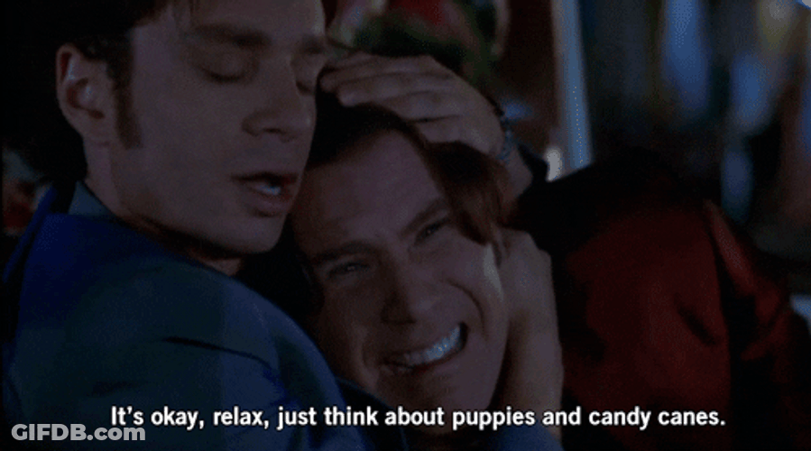 Night At The Roxbury Puppies And Candy GIF