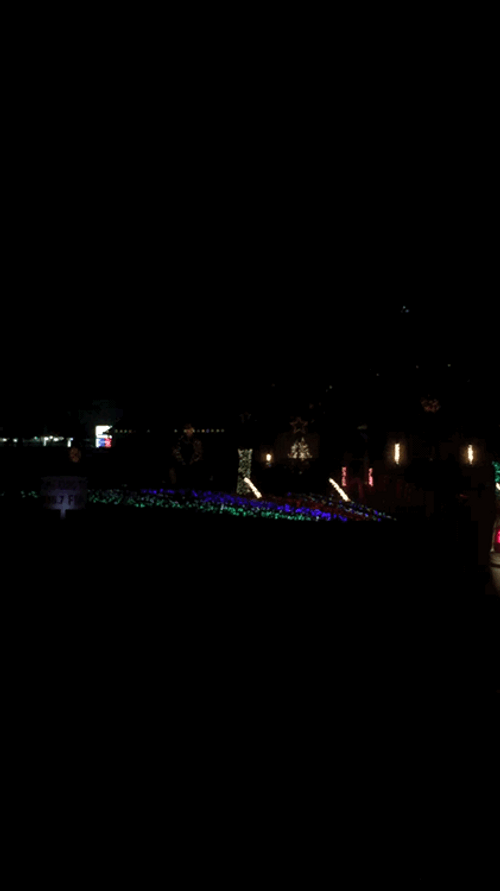 Night Dancing Christmas Lights GIF