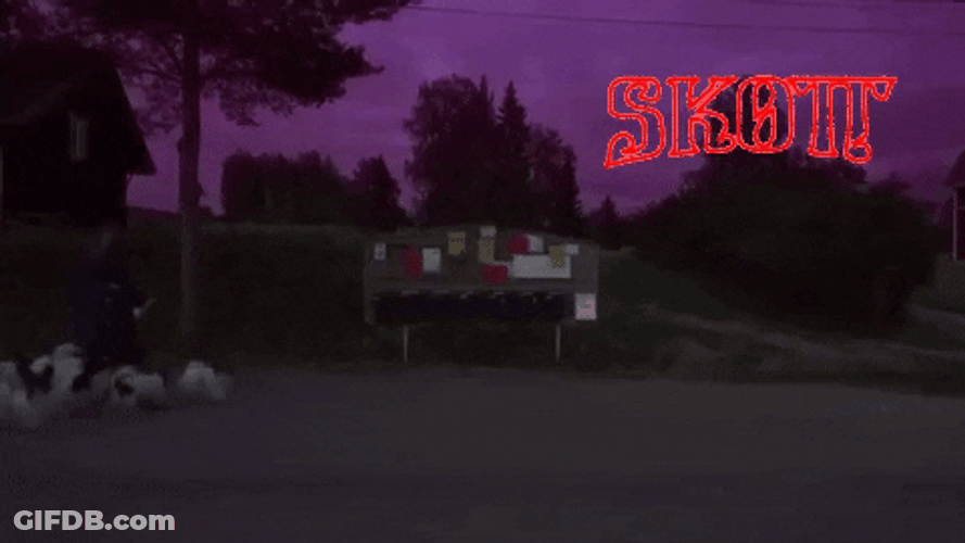 Night Dog Walking GIF