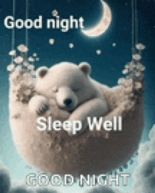 Night Goodnight Meme GIF