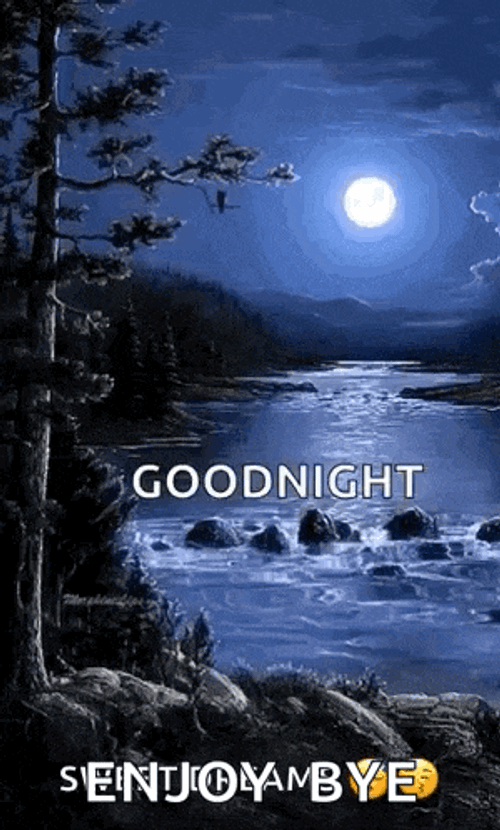 Night Moon GIF