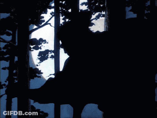 Night Ninjas Jumping GIF