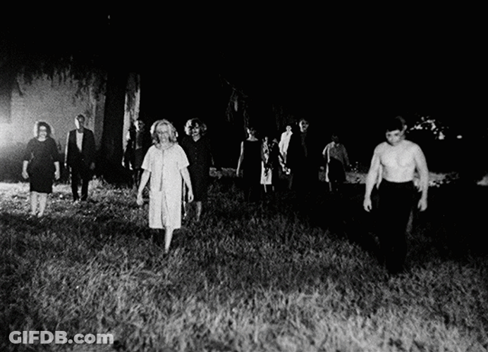 Night Of The Living Dead Terror GIF