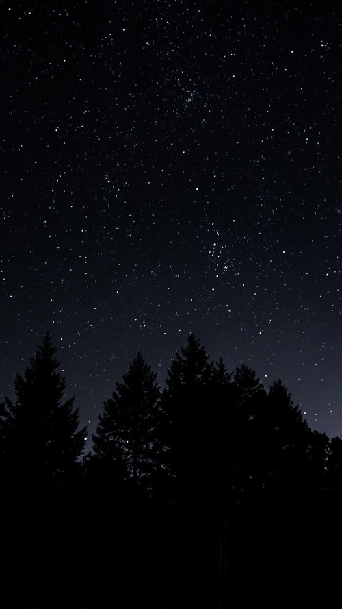 Night Sky Dark Trees GIF