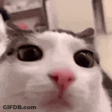 Night Sky Good Night May The Works Of Our Father Be With You GIF