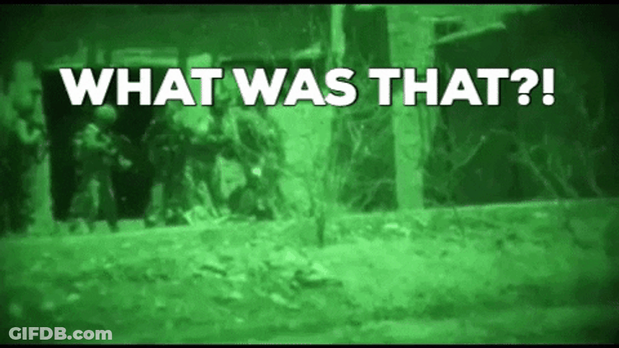 Night Vision What Was That GIF