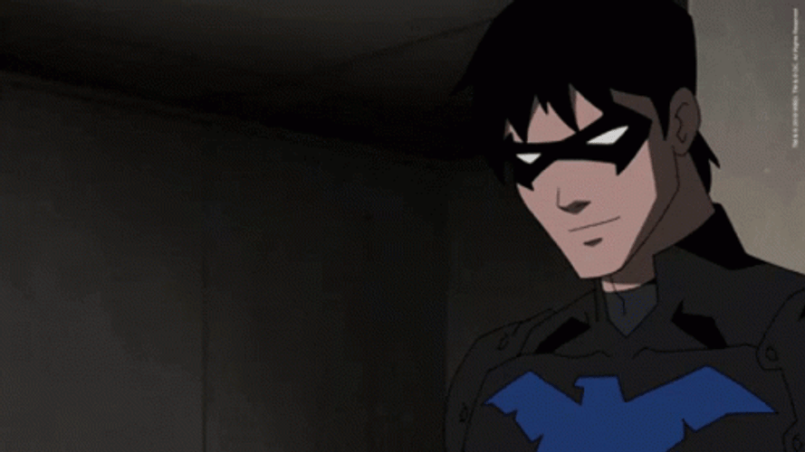 Nightwing Dick Grayson Business As Usual GIF