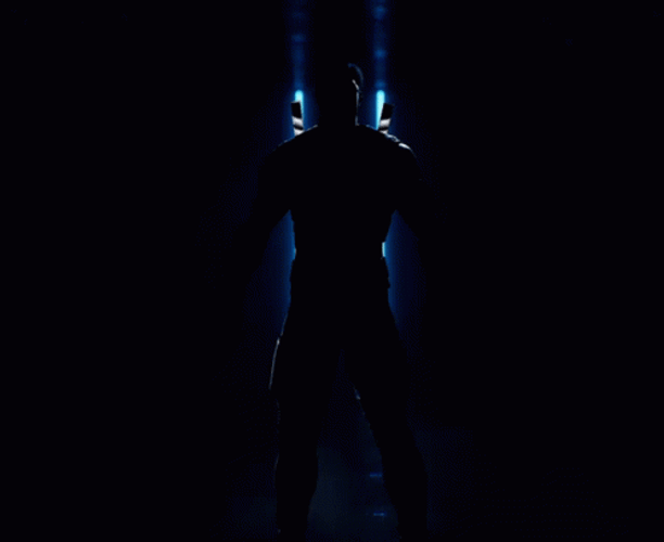 Nightwing Dick Grayson Fighting Stance GIF