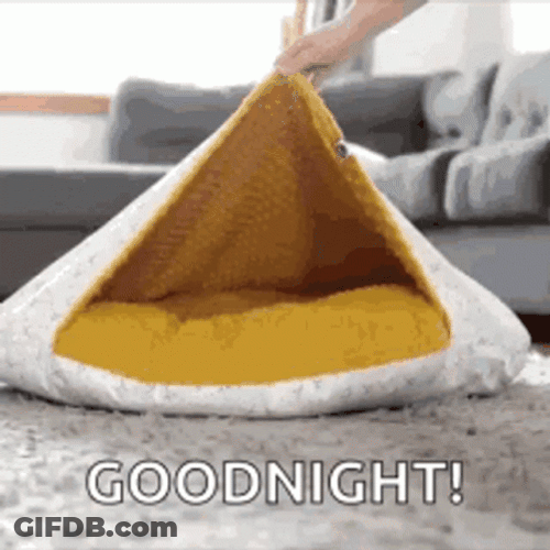 Nighty Night Doggo GIF