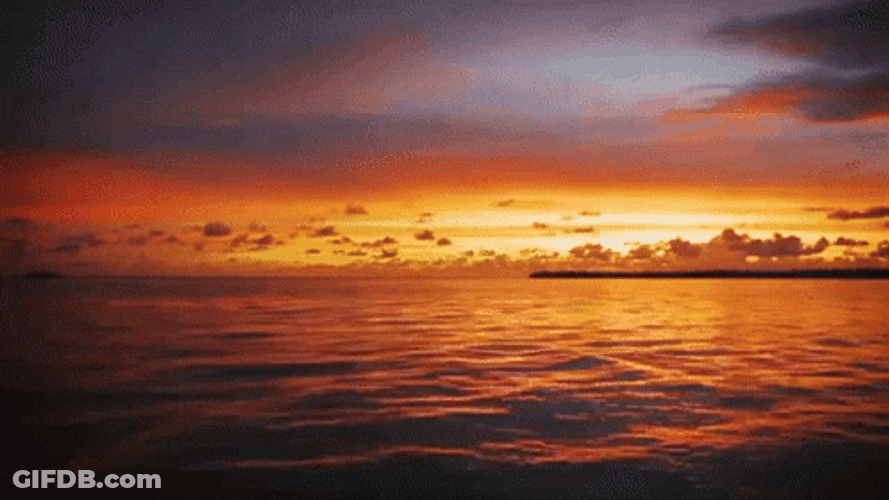 Nike Tuned Air Shoe Sunset Color GIF