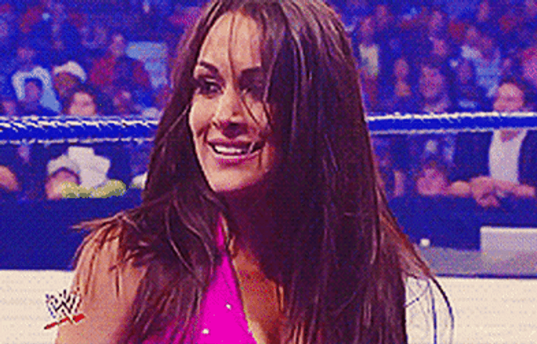 Nikki Bella Brie WWE Sisters Laughing Smiling GIF