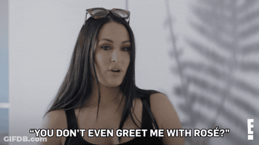 Nikki Bella Don't Greet Me The Bellas GIF