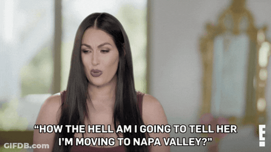 Nikki Bella How The Hell The Bellas GIF