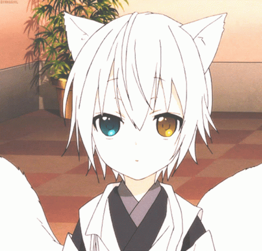 Nine Tailed Fox Cute Anime Boy Soshi Miketsukami GIF