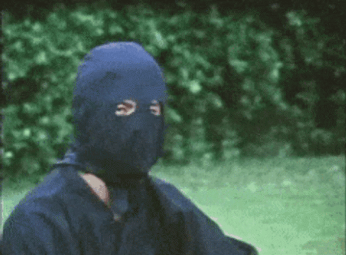 Ninja Gang Protocol Mode GIF