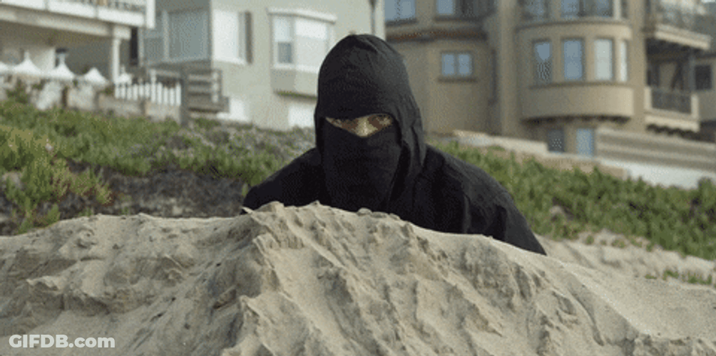 Ninja Spy At The Beach GIF