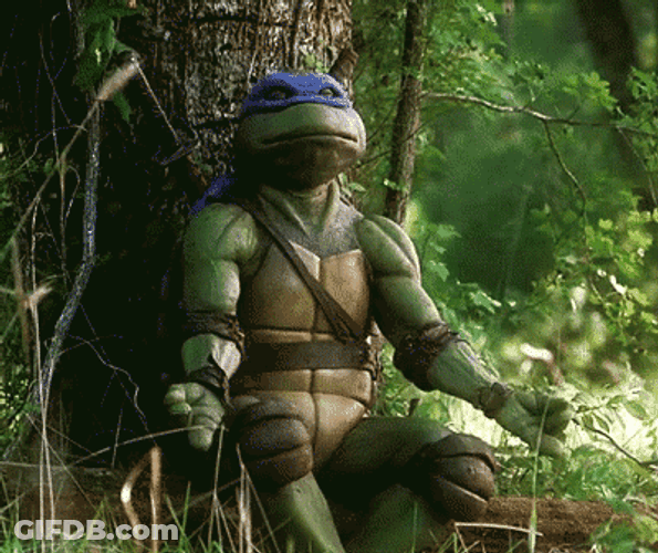 Ninja Turtle Doing Meditation GIF