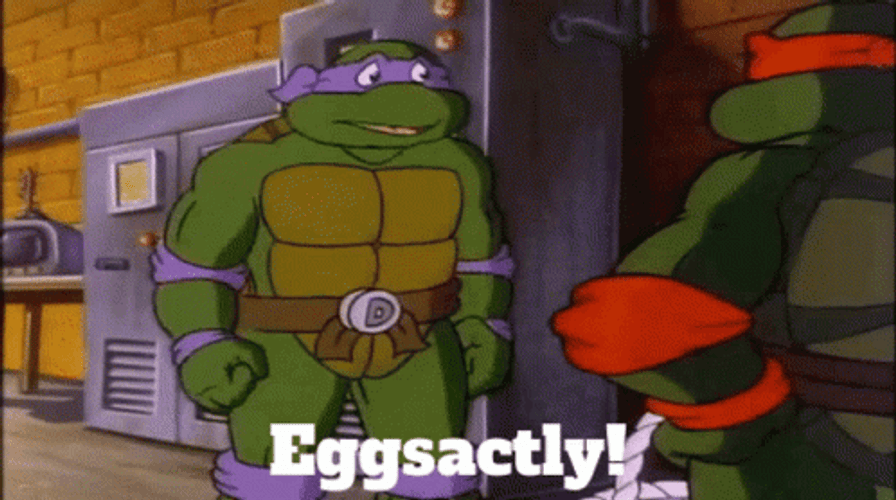 Ninja Turtle Donatello Eggsactky Tmnt GIF