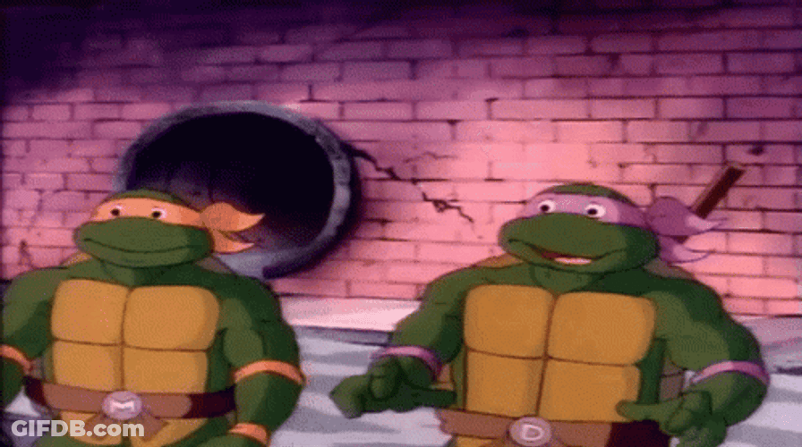 Ninja Turtle Duo Team High Five GIF
