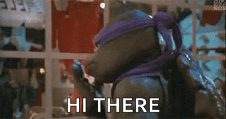 Ninja Turtle Hi There From Tmnt Donatello GIF