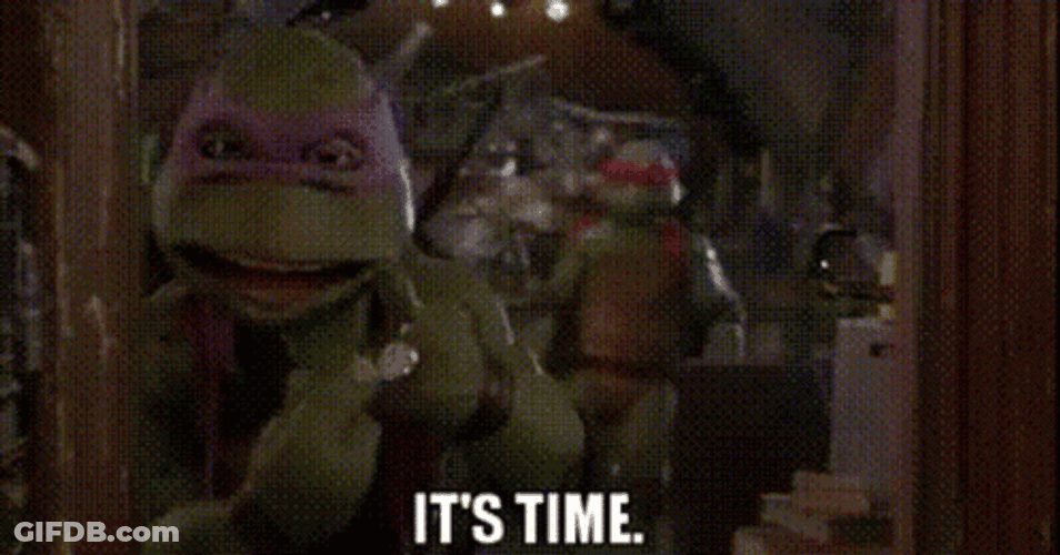 Ninja Turtle It Is Time GIF