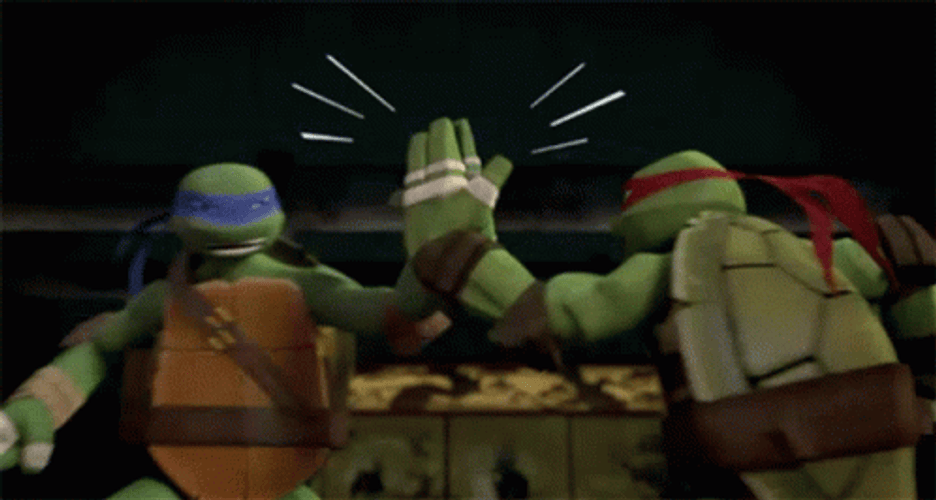 Ninja Turtle Raphael Joint Forces Leonardo GIF