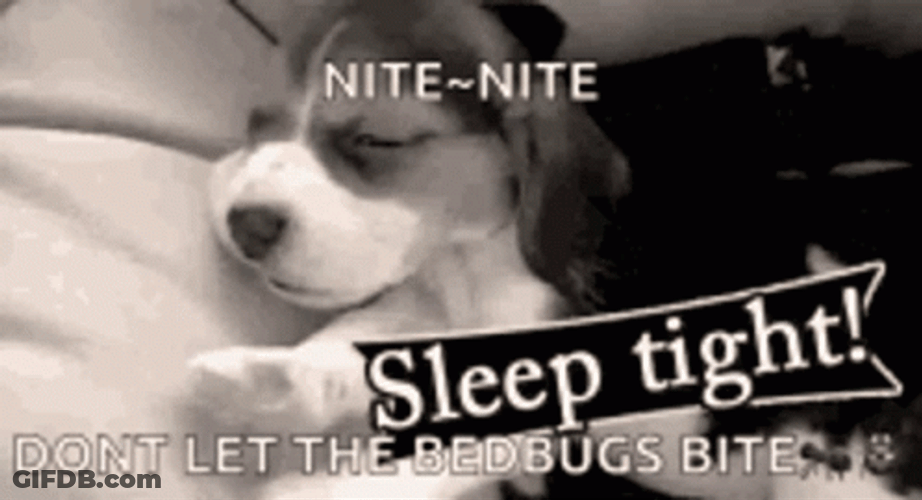 Nite Nite Cute Sleep Puppy Dog Yawning GIF