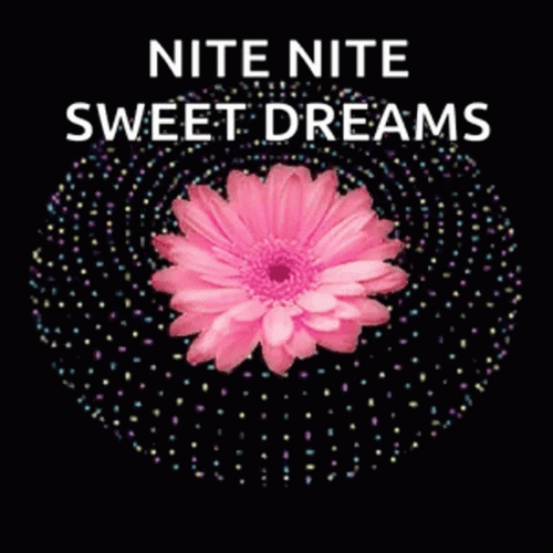 Nite Nite Pink Daisy Flower Trippy GIF