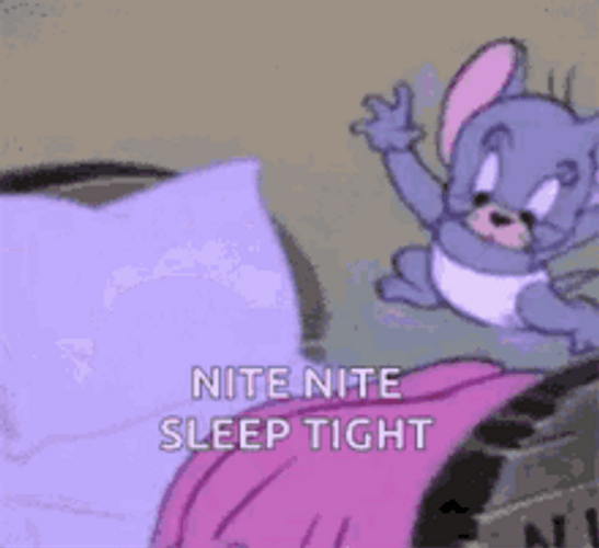 Nite Nite Sleep Tight Nibbles Tm And Jerry GIF