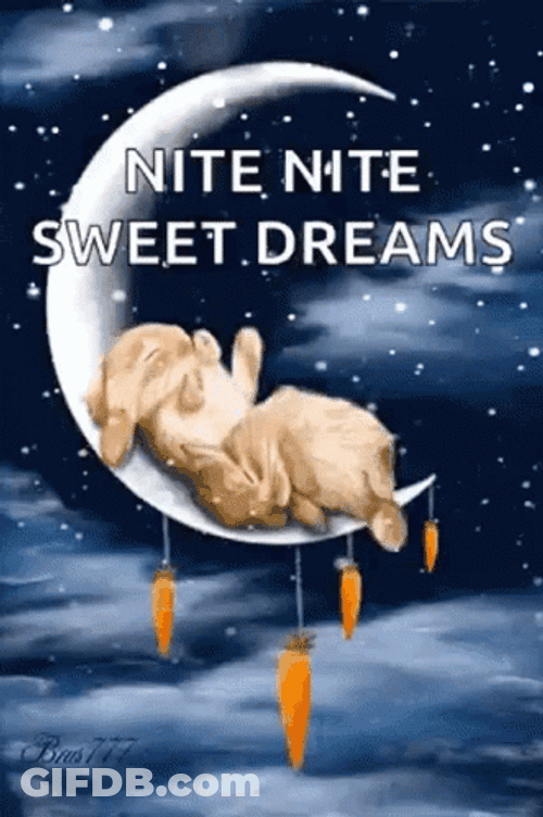 Nite Nite Sleeping Bunny On The Moon GIF