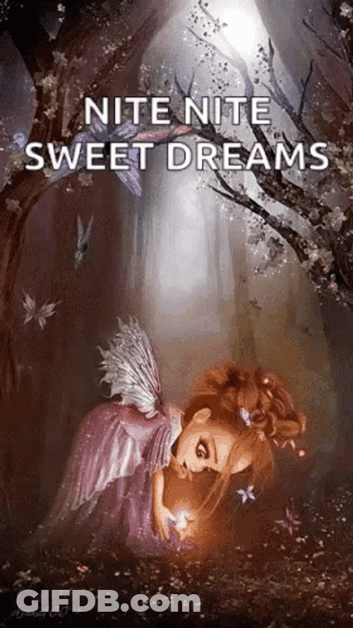 Nite Nite Sweet Dreams Butterflies Flying In Forest GIF