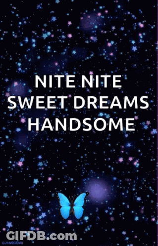 Nite Nite Sweet Dreams Handsome Butterfly Poster GIF