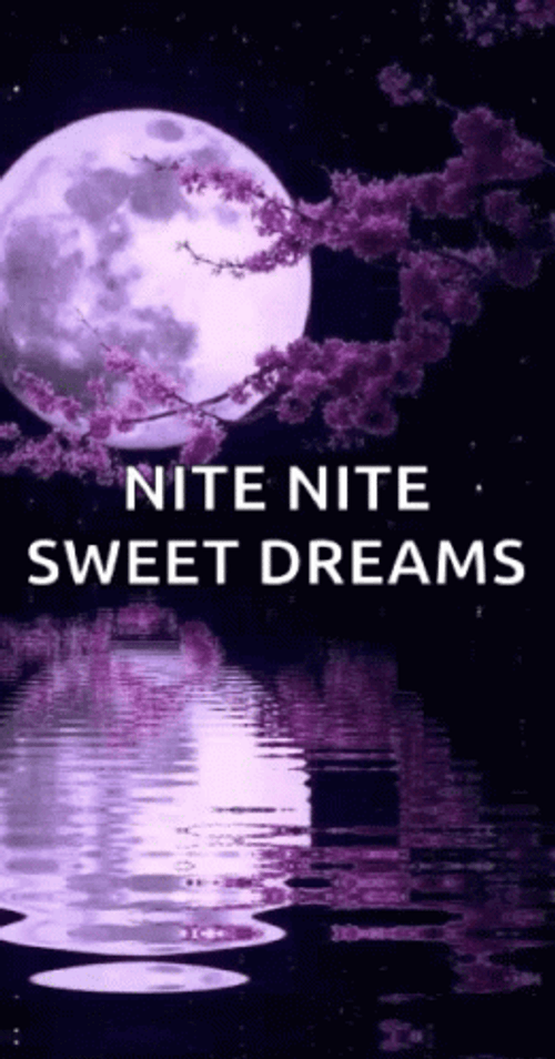 Nite Nite Sweet Dreams Purple Moon Lake GIF
