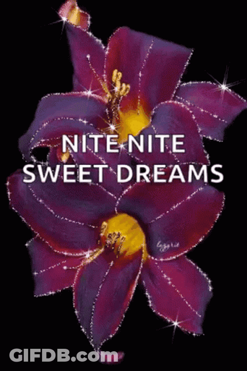 Nite Nite Sweet Dreams Sparkling Purple Poinsettia GIF