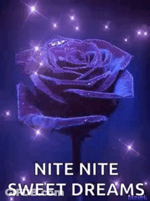 Nite Nite Sweet Dreams Sparkling Rose GIF