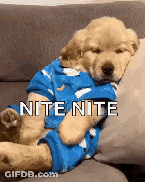 Nite Nite Yawning Golden Retriever Puppy GIF