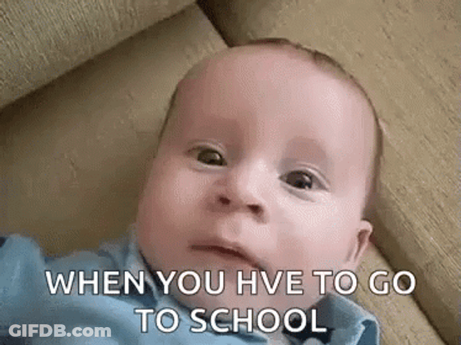 No Back To School GIF