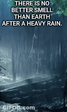 No Better Smell Than Earth After Heavy Rain Poster GIF