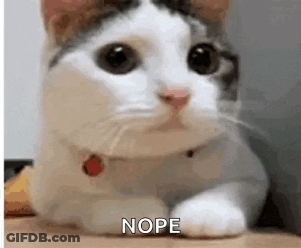No Cat GIF