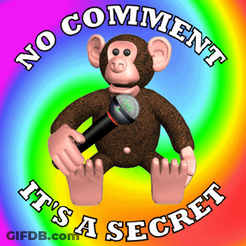 No Comment Secret Monkey GIF