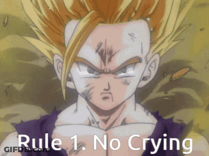 No Crying Gohan Meme GIF